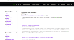 Desktop Screenshot of ethiowatch.org